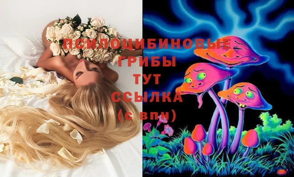 spice Беломорск