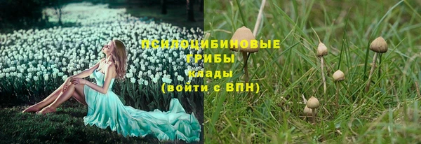 spice Беломорск