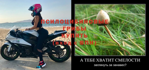метамфетамин Белокуриха