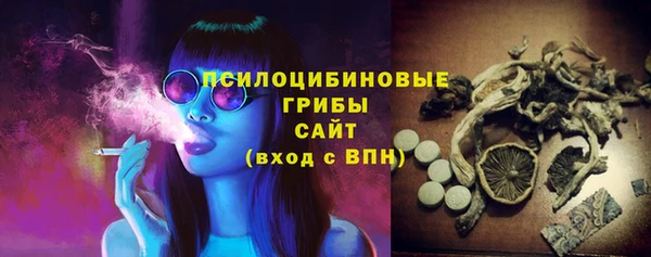spice Беломорск
