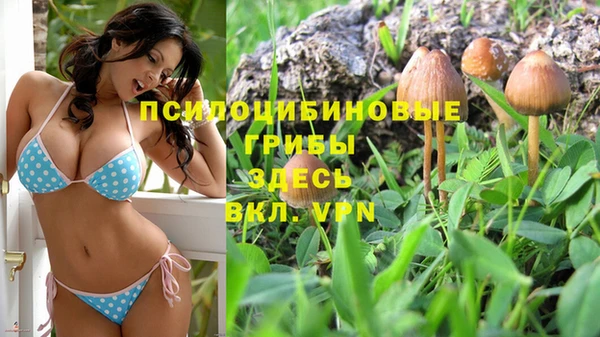 метамфетамин Белокуриха