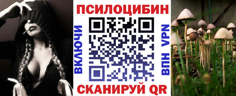 Купить где  Артёмовский  Псилоцибиновые грибы GOLDEN TEACHER 